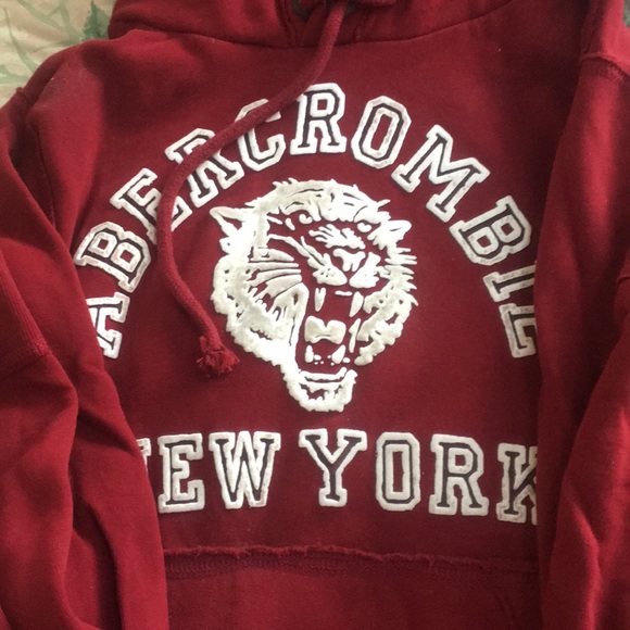 Abercrombie & Fitch red hoodie size S (muscle fit) - Picture 2 of 3